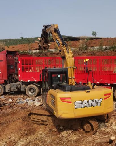 松木原木、松木條,漲勢如虹,現(xiàn)在搶購最劃算(附松木原木供應(yīng)廠家介紹)