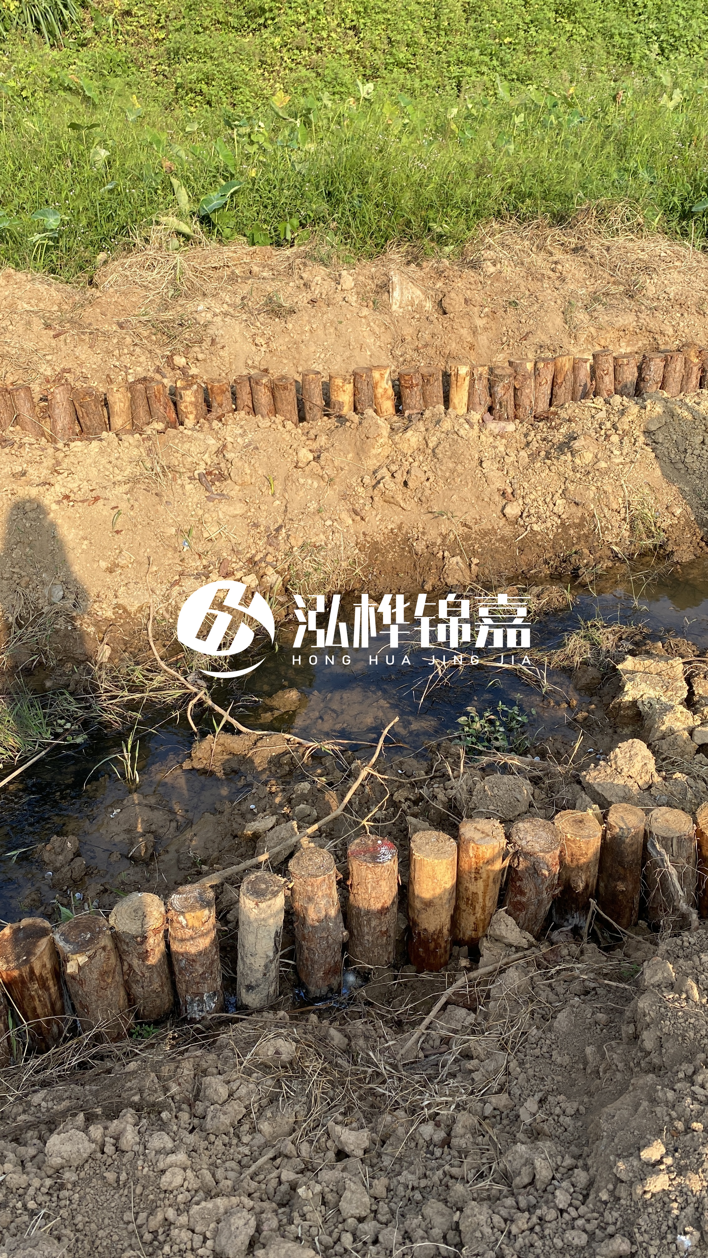 大慶挖機(jī)打木樁專業(yè)施工-五米松木樁用什么打樁機(jī)？