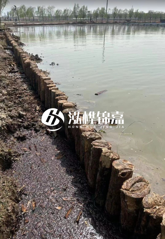 大渡口河道打松木樁施工-護(hù)坡木樁哪里有的買？
