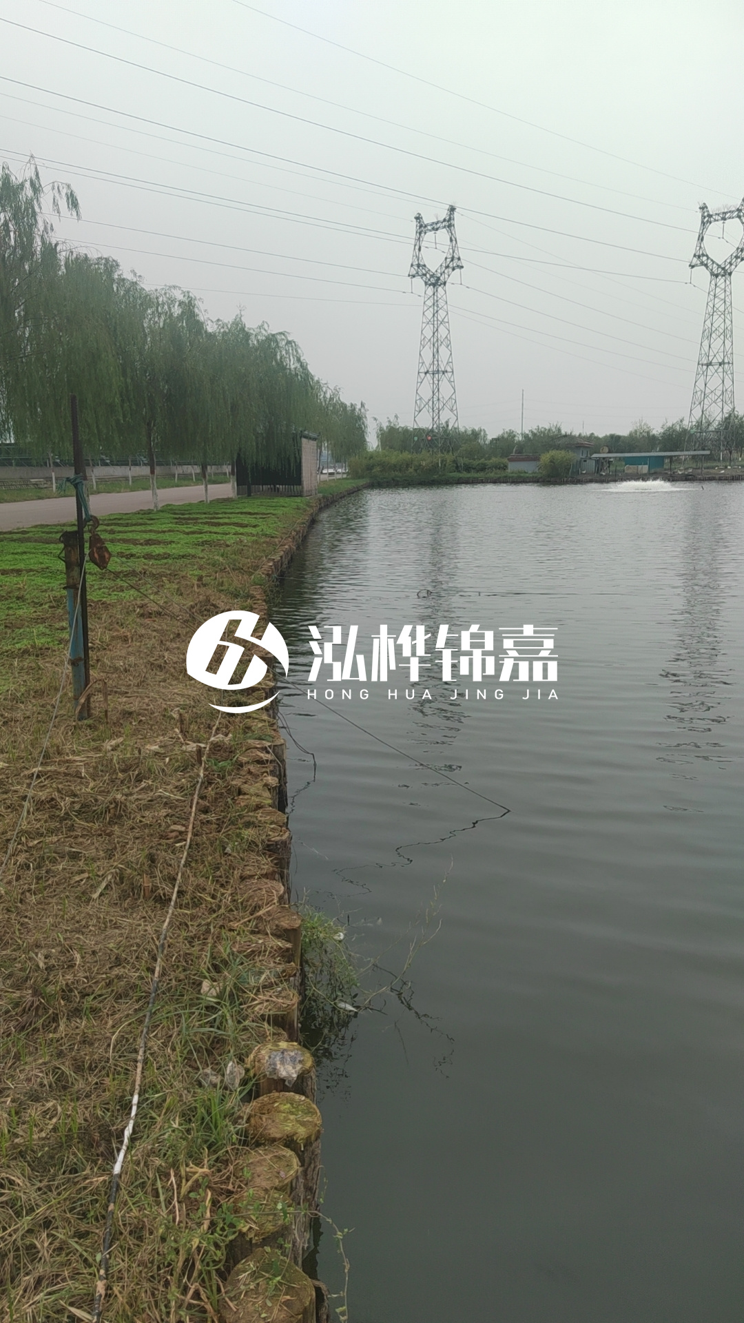 大同河道打松木樁施工-護(hù)坡木樁新的好還是舊的？