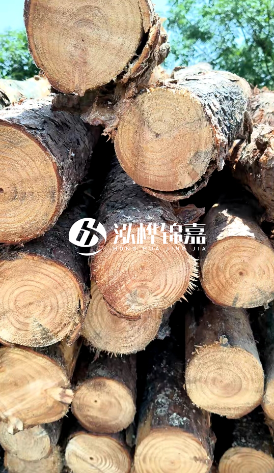 周口挖機(jī)打木樁專業(yè)施工-杉木樁施工打樁怎么打?