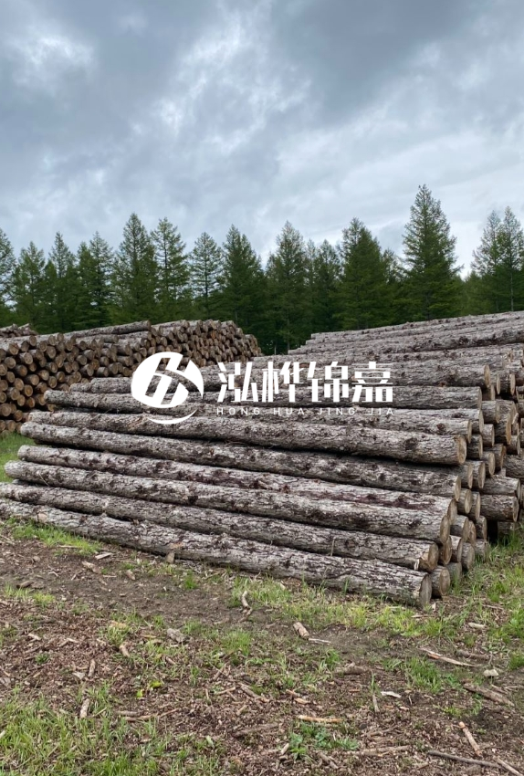 長沙松木樁源頭廠家-如何甄別松木樁打樁木的質量好壞?