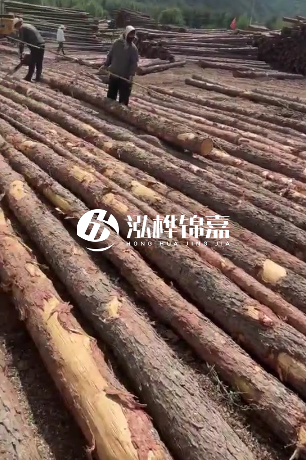 ?？谒赡緲对搭^廠家-松木樁最長(zhǎng)可以做多少米？