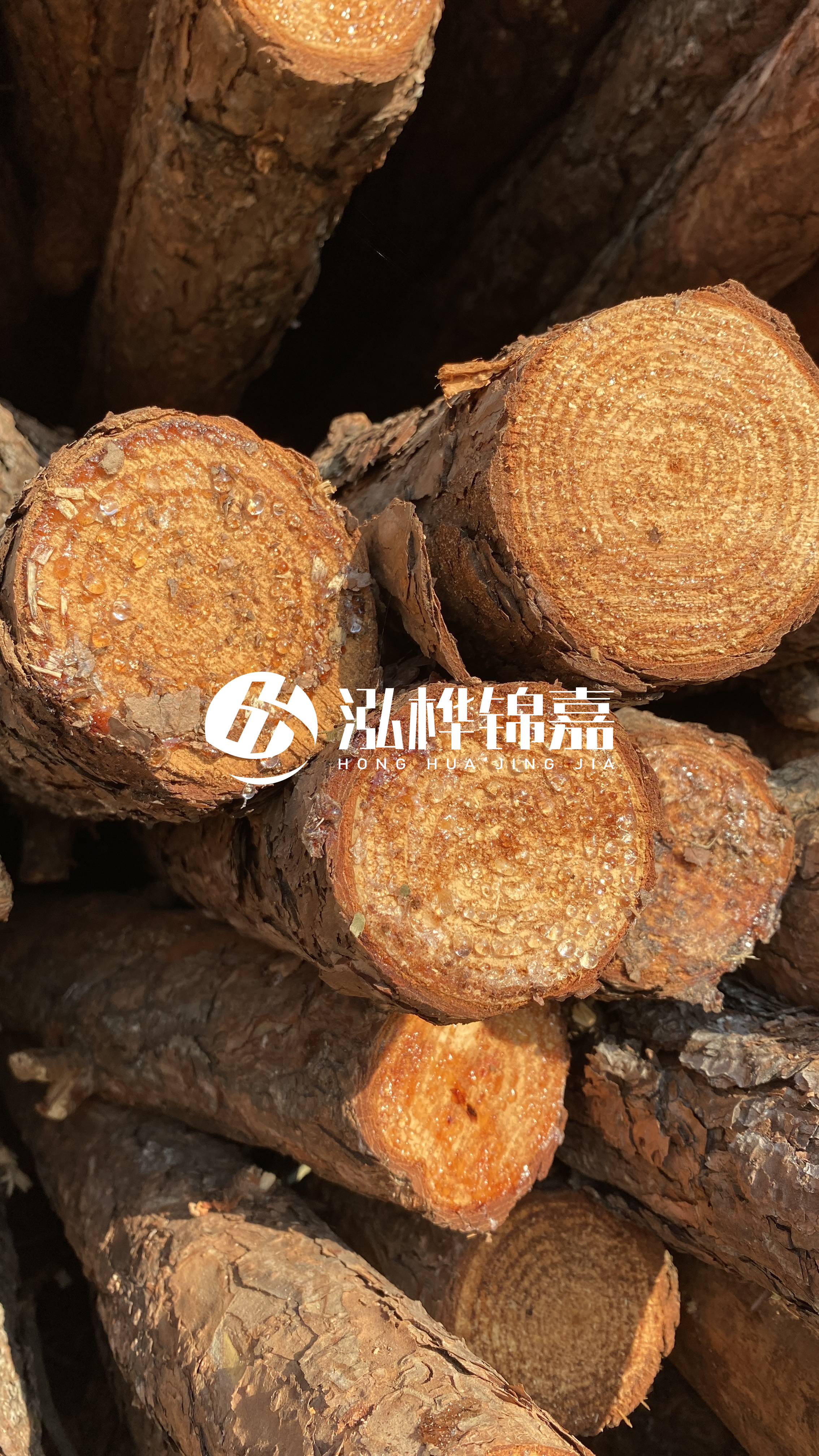 南充松木樁源頭廠家-木樁護(hù)坡優(yōu)缺點(diǎn)有哪些？