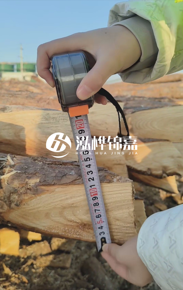 打木樁用松木樁好還是杉木樁好?全面對(duì)比解析!