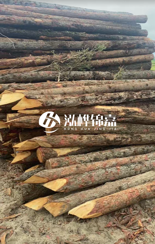 松木樁4米長(zhǎng)尾徑14厘米價(jià)格是多少?一立方米有多少根?