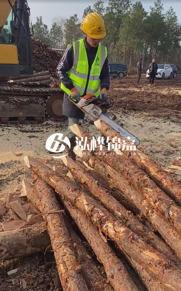 松木樁樁長1.5米稍徑12多少錢一根?樁長1.5米稍徑12大頭多少?