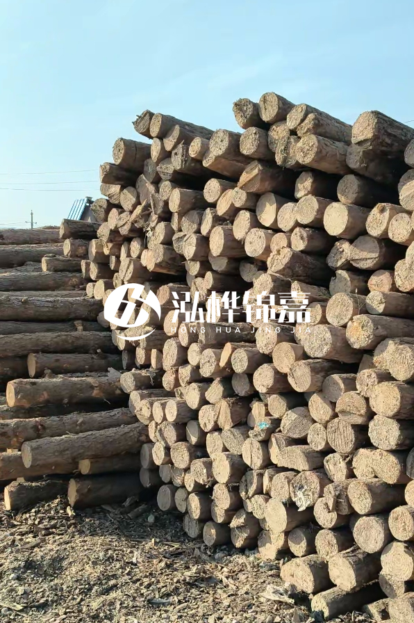 江西哪里有松木樁賣-4米12-14公分松木樁價格揭秘！