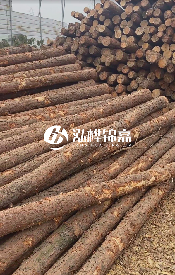 山西河道木樁護(hù)岸價格多少錢一米-每米河道打樁要花多少錢？