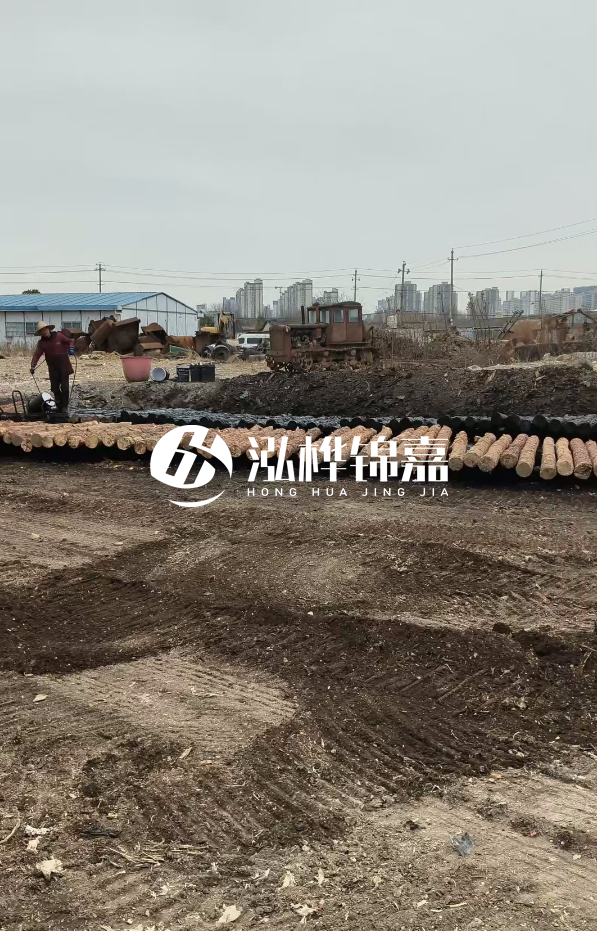 安徽打樁木材哪里買最好-5米直徑12杉木樁送到安徽多少錢？