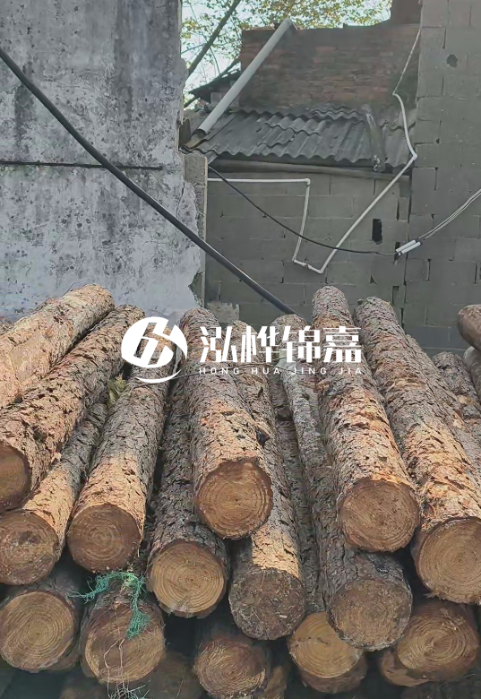 1.5米至2米長松木樁價格表-10-12公分大概多少錢一根？