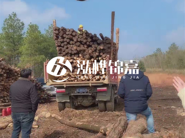 松木樁價(jià)格是按米算還是按根算？6米松木樁批發(fā)價(jià)每根多少錢(qián)？