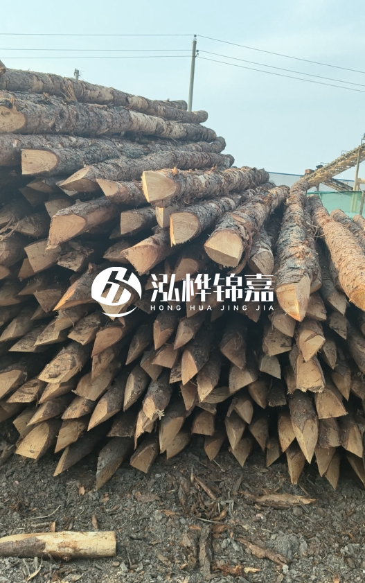 落葉松木材價格多少錢一立方？油松木材多少錢一立方？