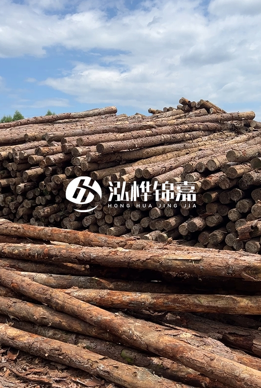 松木打樁木的價格波動受哪些因素影響？杉木樁能代替松木樁嗎？