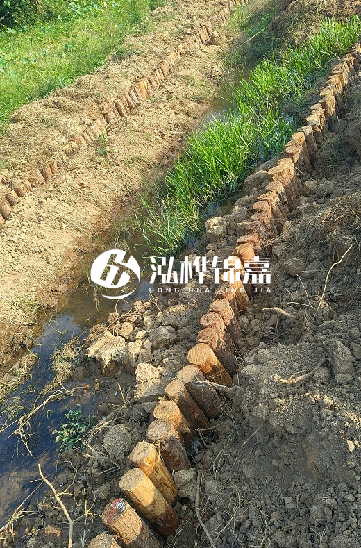 湖南松木樁批發廠家直銷-松木樁做碳化多少錢一根？