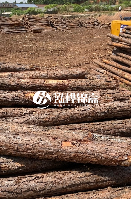 陜西河道木樁源頭廠家泓樺錦嘉-3米大頭11-13厘米多少錢一根？