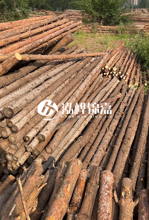 如何選擇合適的松木樁廠家？采購松木樁需要考慮的因素有哪些？