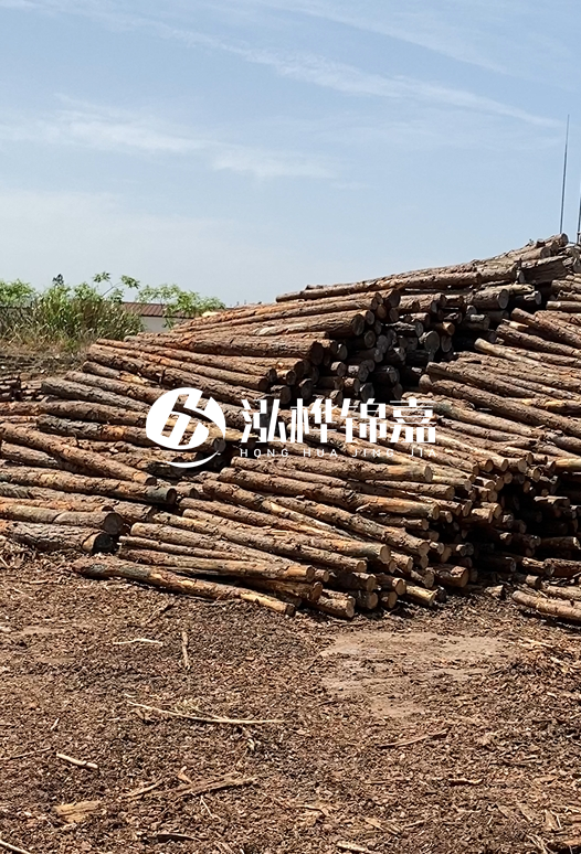 3.5米松木樁單價含稅怎么計算？碳化處理成本增加多少？