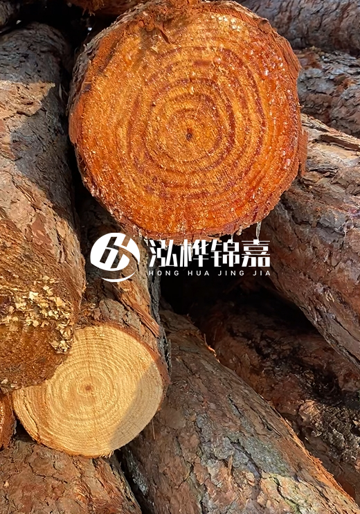 江西河道打樁木廠家泓樺錦嘉-河道打樁木如何避免中間商？