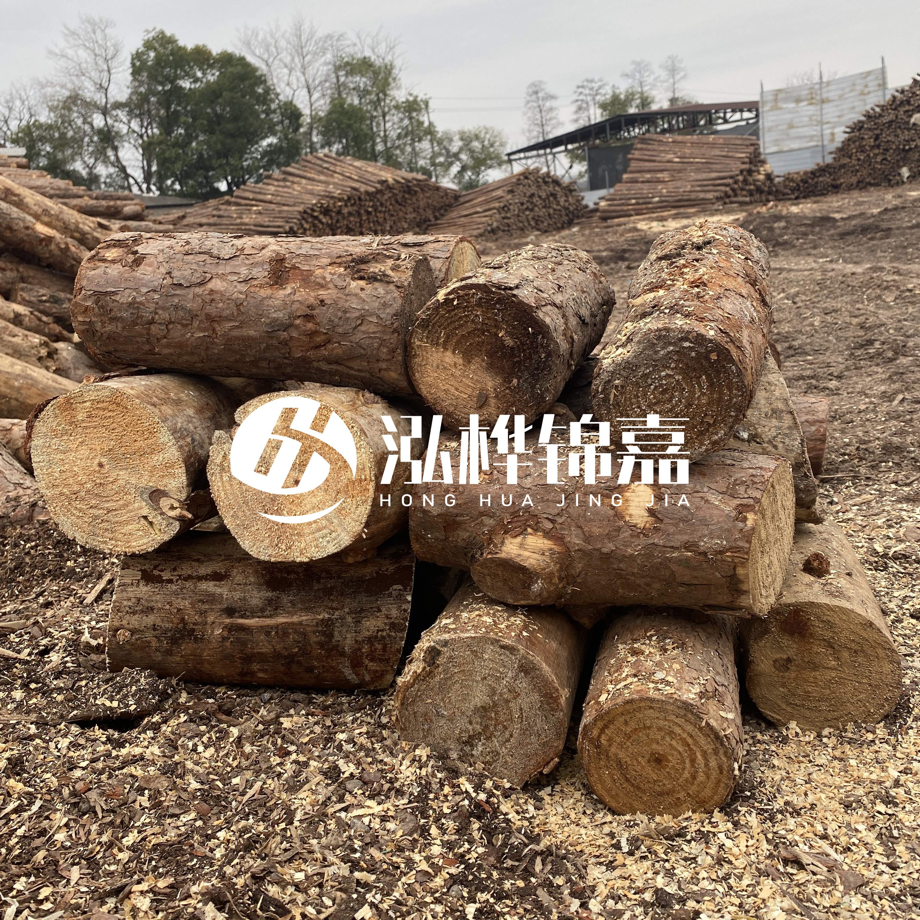 打樁木邊角料能做什么用途？怎么賣的？