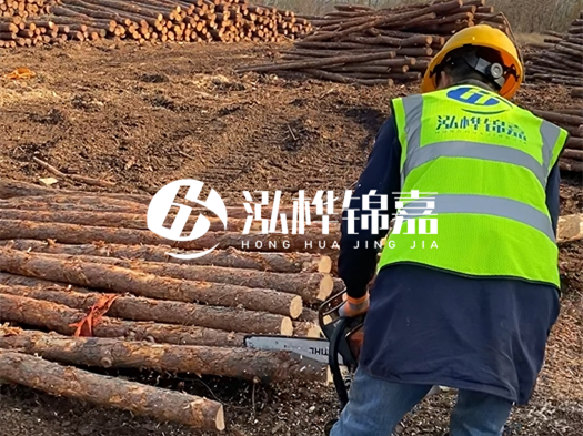 哪些木樁廠家能提供快速定制服務(wù)？哪些木樁廠家在國內(nèi)有多個生產(chǎn)基地？