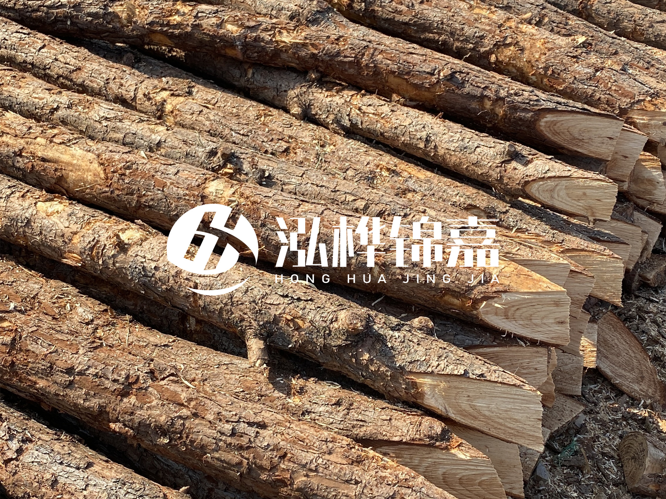 8 米超大直徑松木樁的價格是多少？帶皮和去皮松木樁價格差多少？