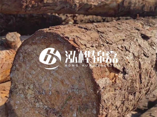 松木樁如何做到千年不腐的？松木樁打地基耐用年限揭秘