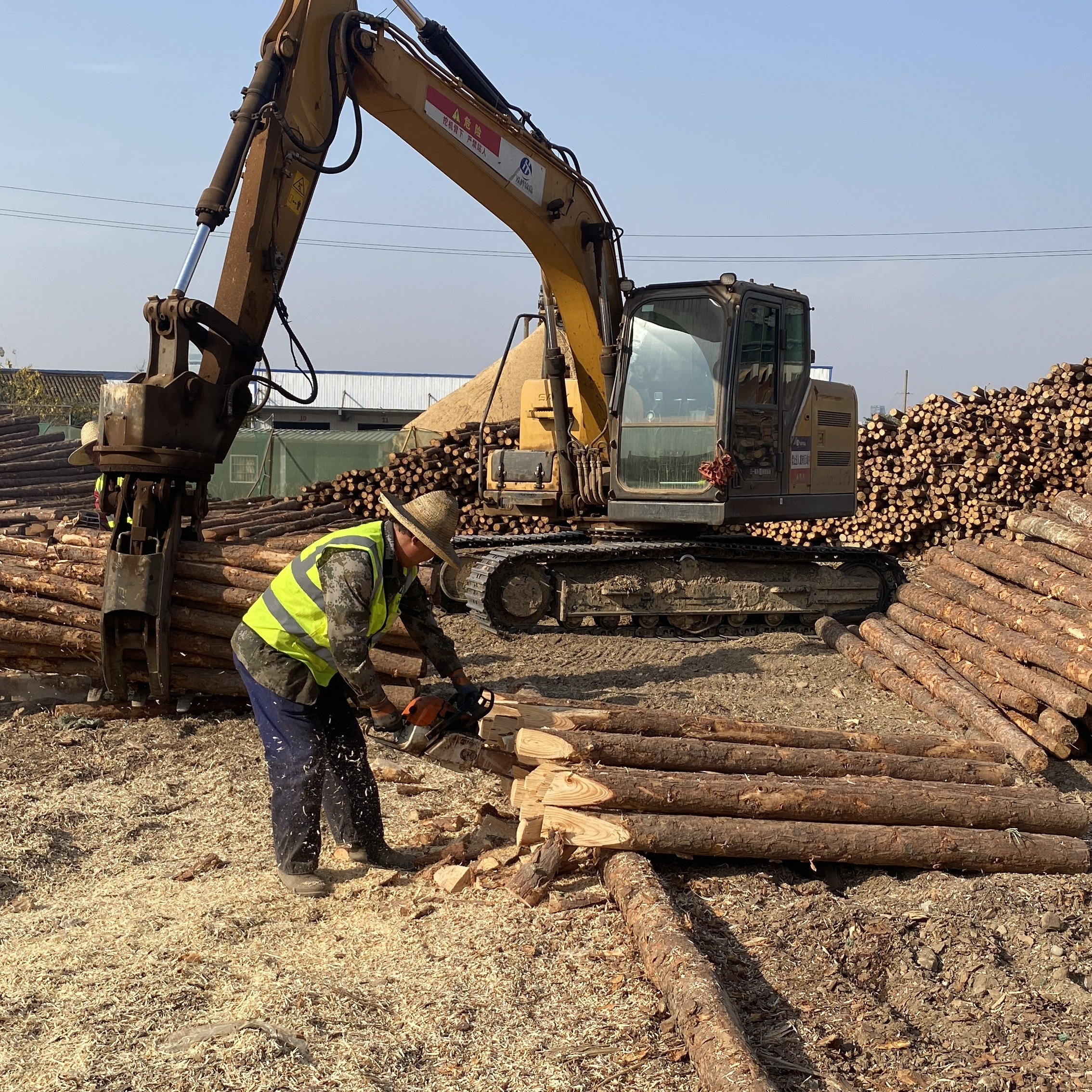 松木樁廠家泓樺錦嘉-工程打樁木選擇落葉松還是濕地松更耐腐蝕？