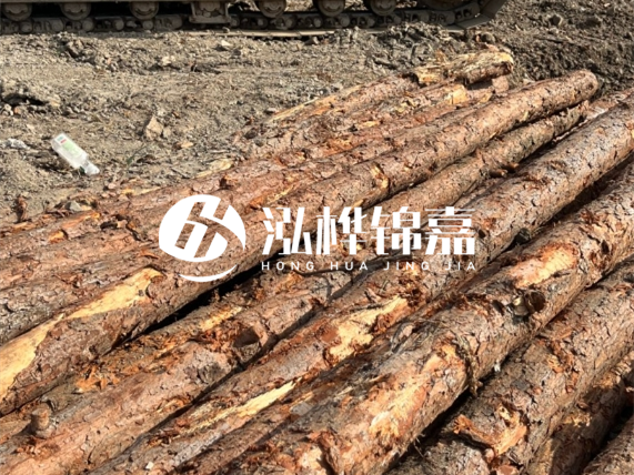 松木樁廠家泓樺錦嘉-原木松木樁的材質是落葉松還是濕地松好？