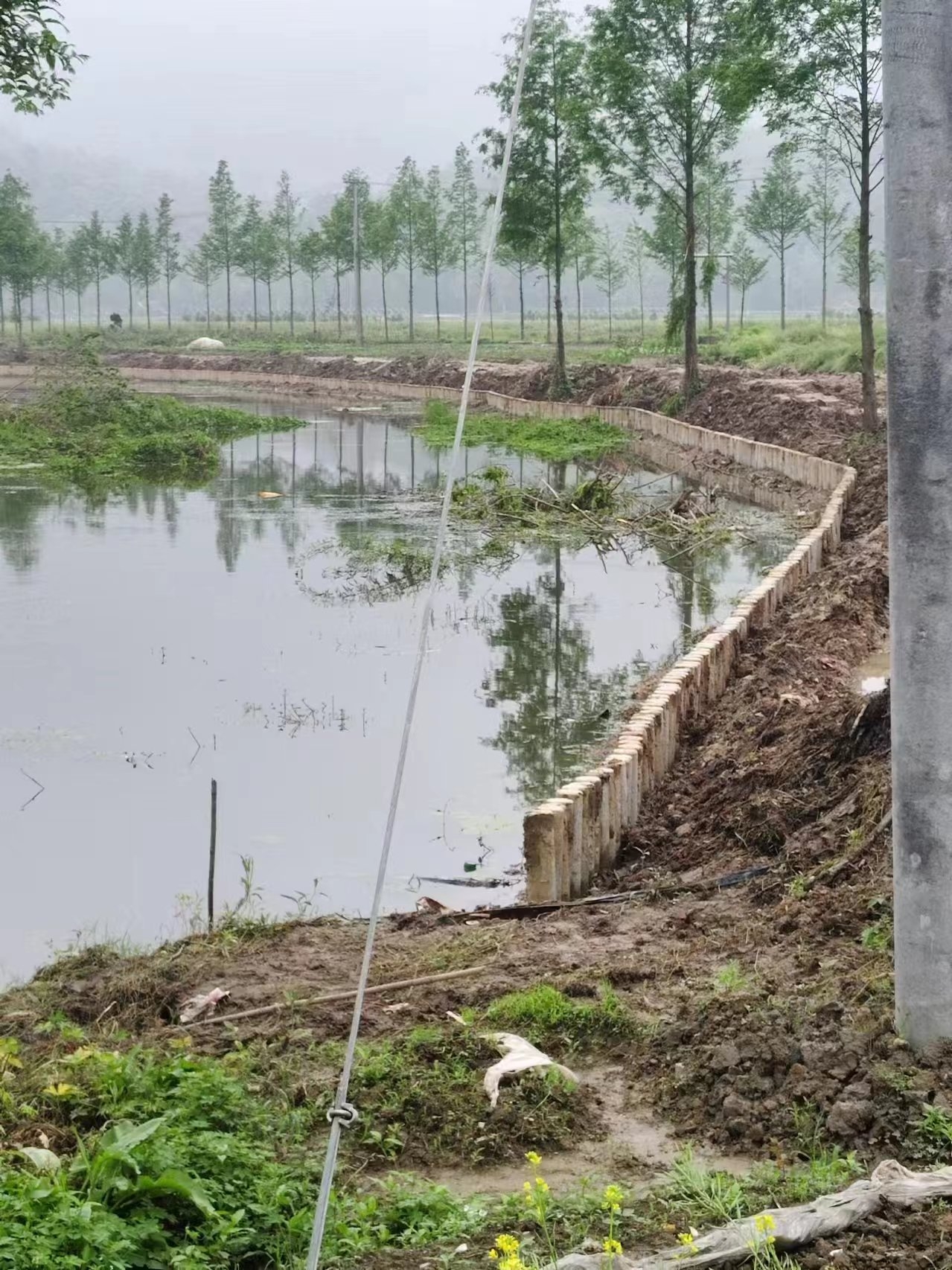 水泥仿木樁施工隊泓樺錦嘉 - 仿木樁施工多少錢一米？