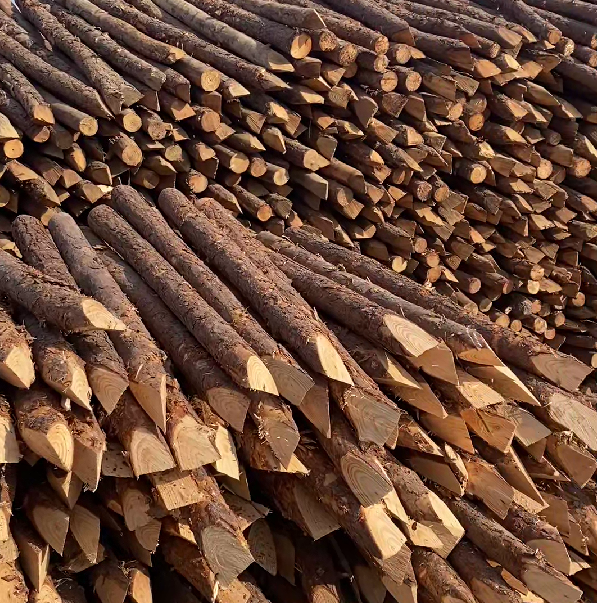 松木樁施工隊泓樺錦嘉 - 河道駁岸樁的檢測標準是什么？