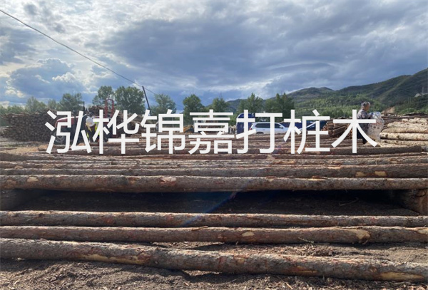 杉木和松木價格哪個貴一些?