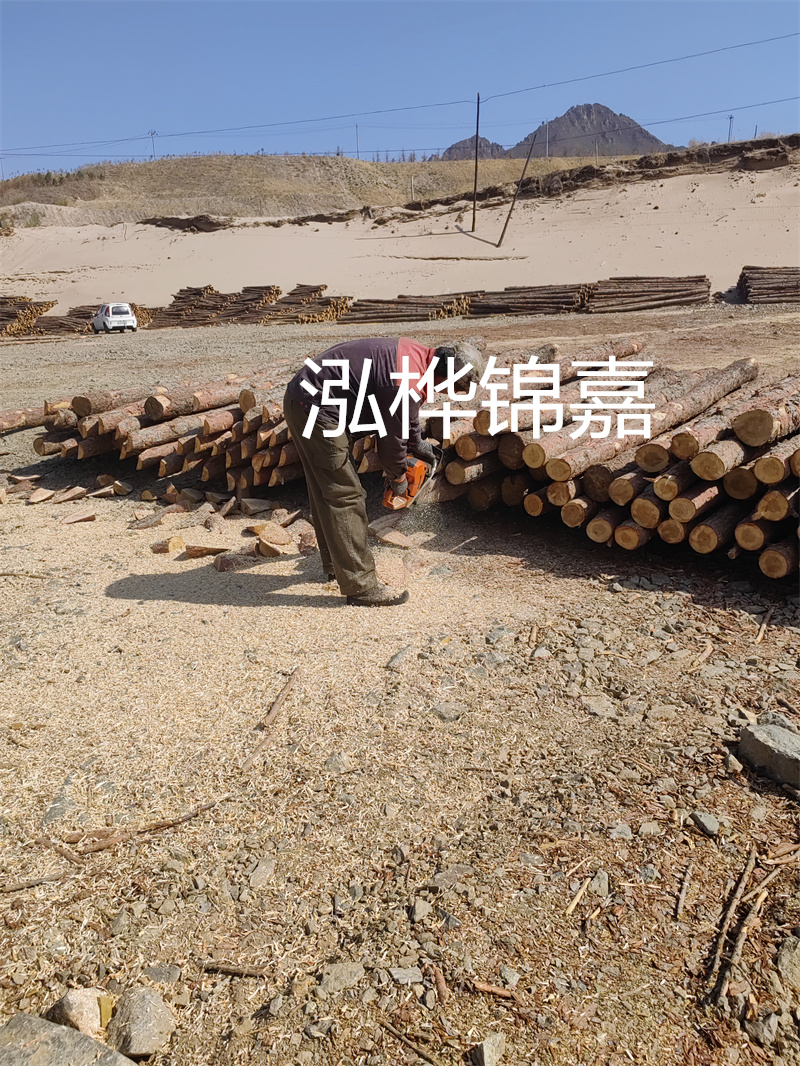 大量求購松木原木,質(zhì)優(yōu)價廉,大量供應(yīng)即刻