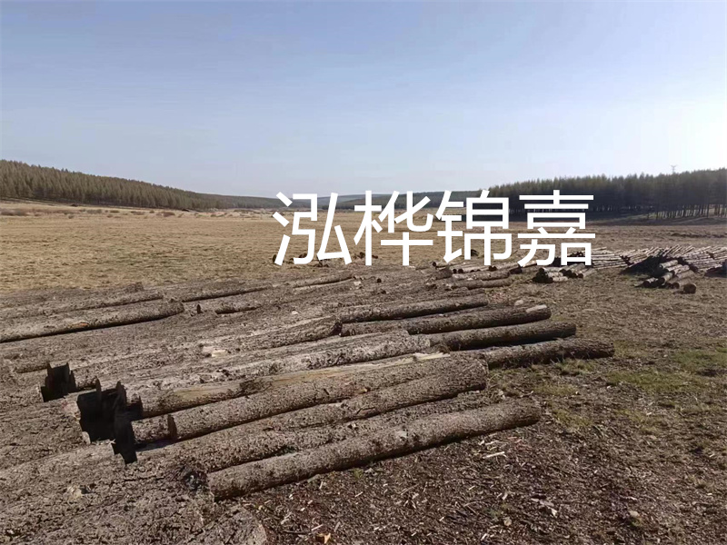 木樁批發(fā),打造穩(wěn)固基石