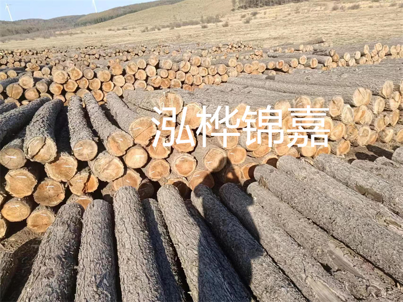 金杉木板材：輕好、重好的選擇