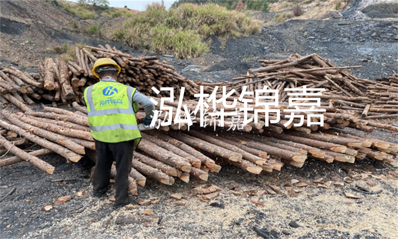 哪里松木樁最便宜?